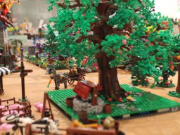 img_0041